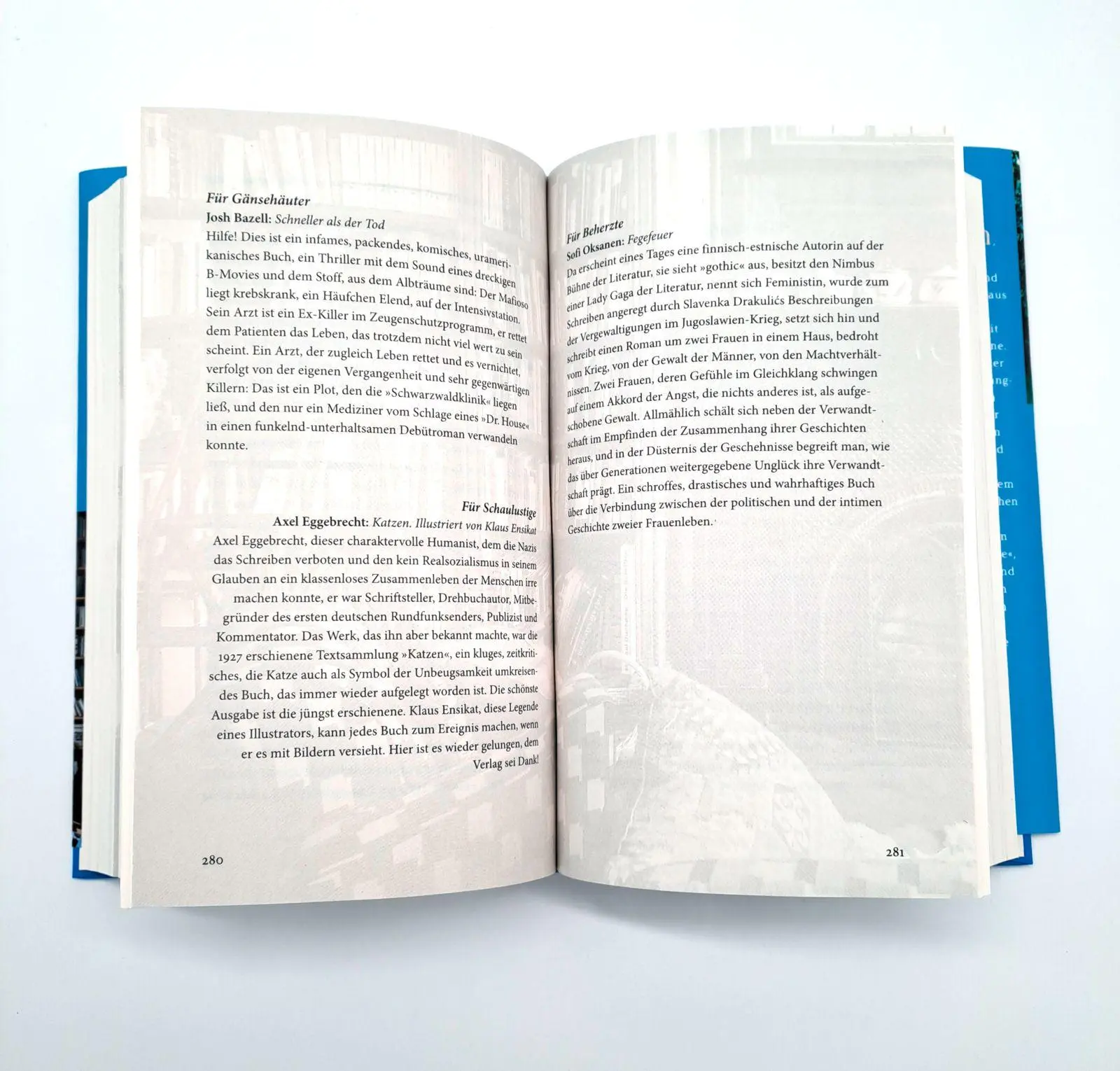 Bild: 9783103976021 | Liegen Sie bequem? Vom Lesen und von Büchern | Roger Willemsen | Buch