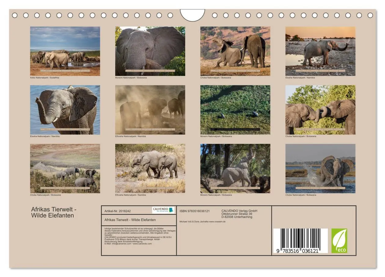 Bild: 9783516036121 | Afrikas Tierwelt - Wilde Elefanten (Wandkalender 2026 DIN A4 quer),...