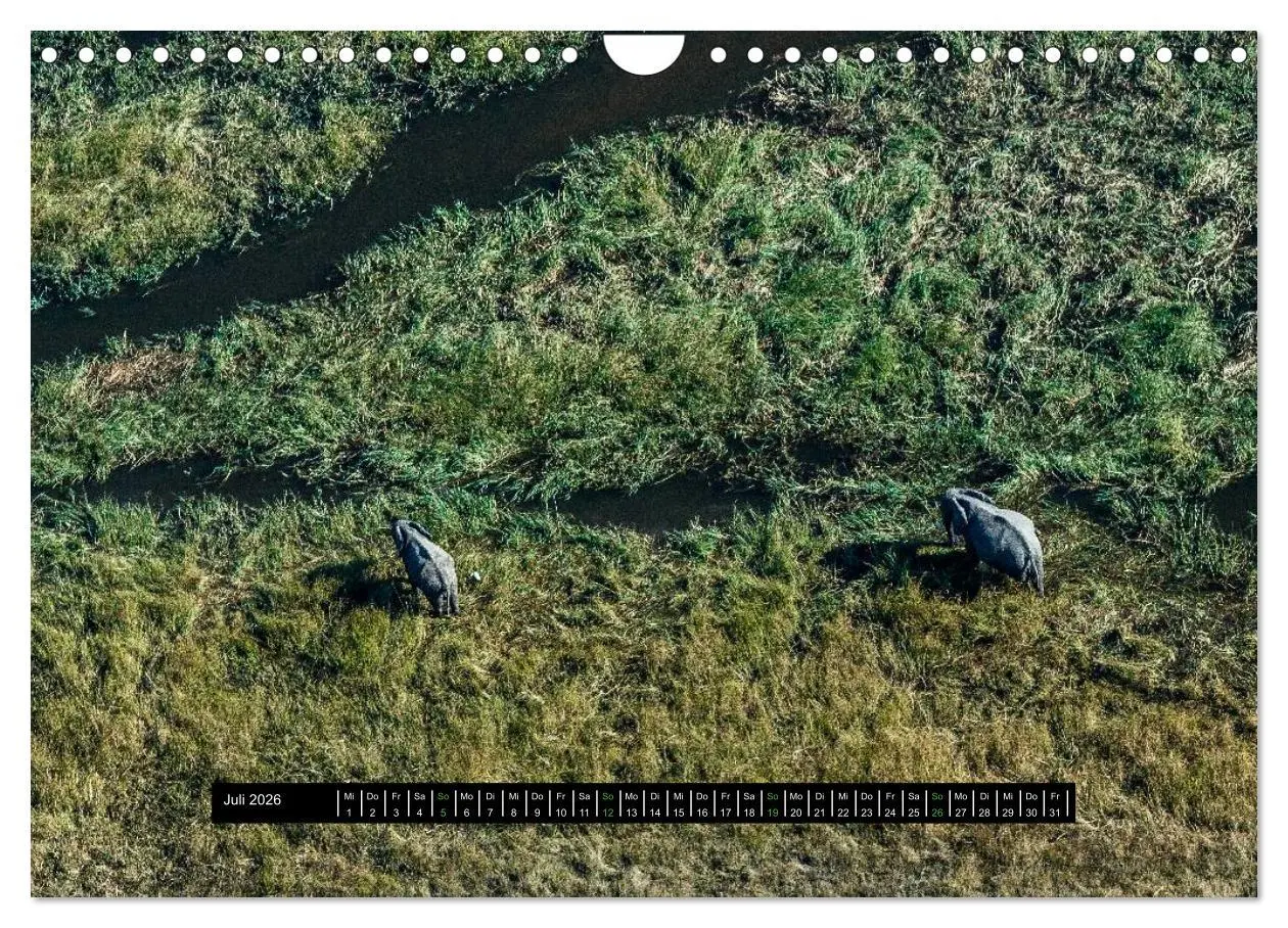 Bild: 9783516036121 | Afrikas Tierwelt - Wilde Elefanten (Wandkalender 2026 DIN A4 quer),...
