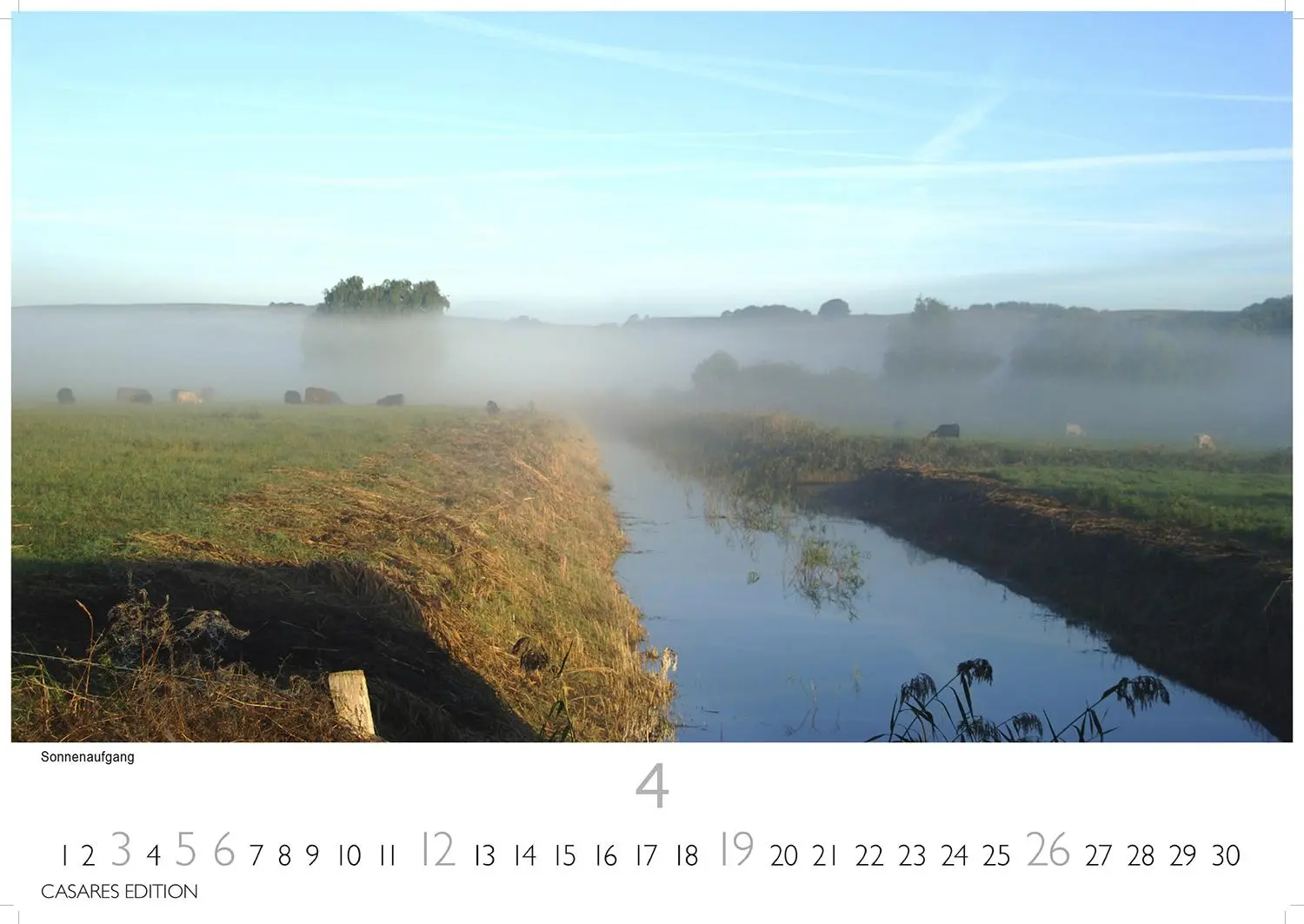 Bild: 9781835246221 | Rügen 2026 L 35x50cm | Hiddensee | Kalender | 14 S. | Deutsch | 2026
