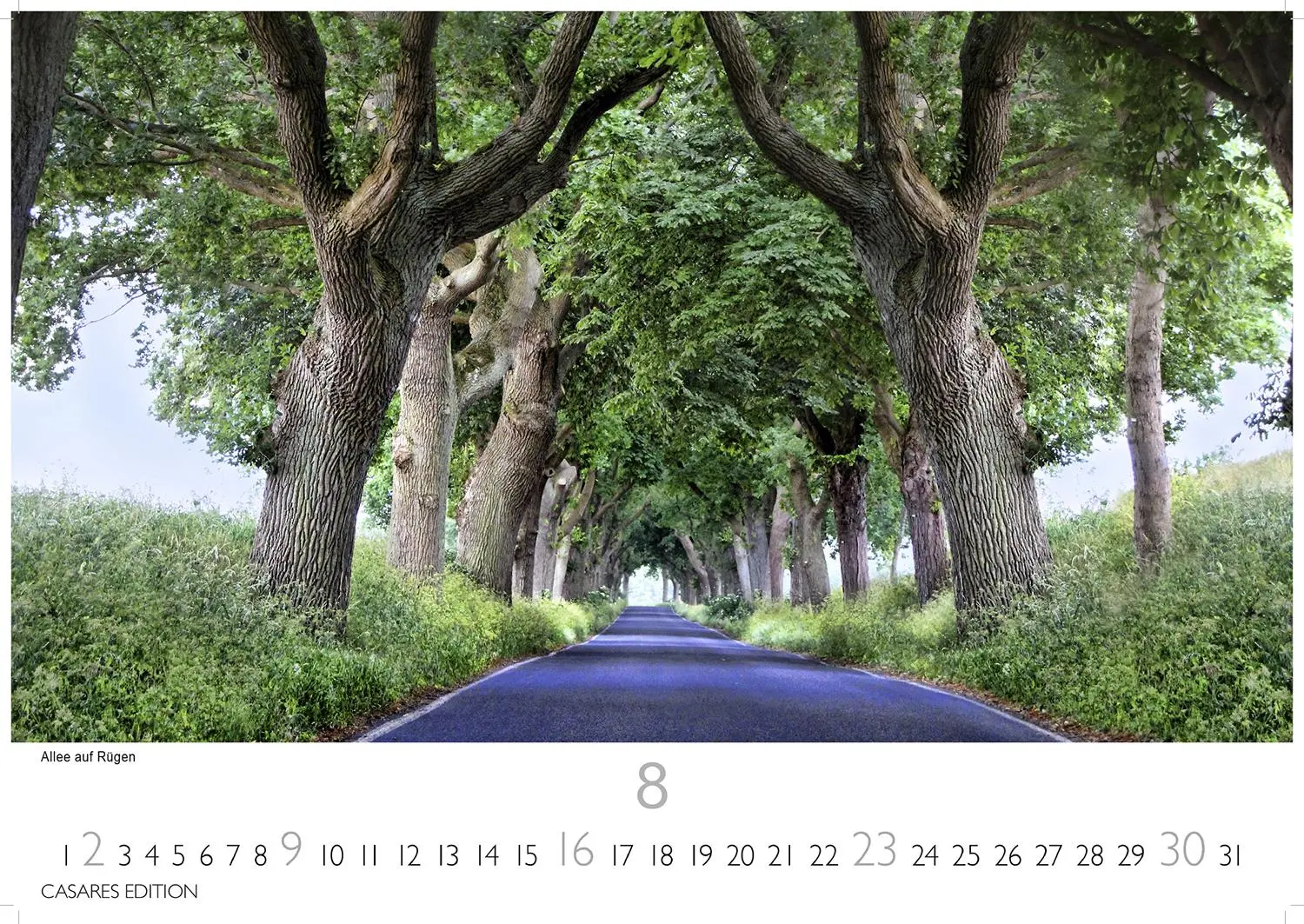 Bild: 9781835246221 | Rügen 2026 L 35x50cm | Hiddensee | Kalender | 14 S. | Deutsch | 2026