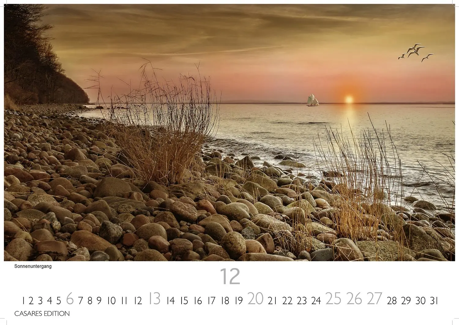 Bild: 9781835246221 | Rügen 2026 L 35x50cm | Hiddensee | Kalender | 14 S. | Deutsch | 2026