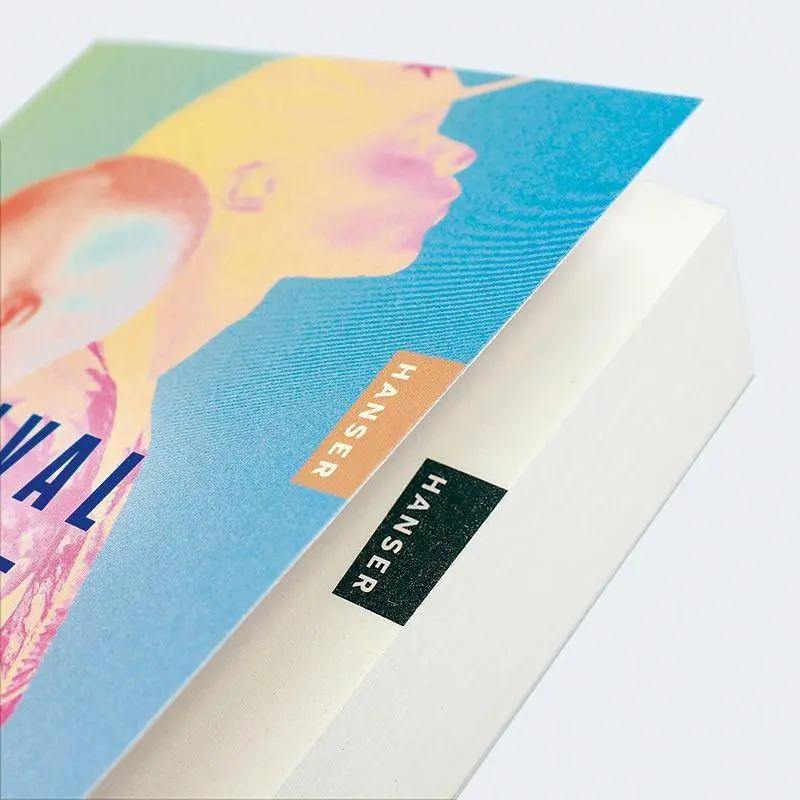 Bild: 9783446286221 | Ausradiert | Percival Everett | Taschenbuch | 352 S. | Deutsch | 2026