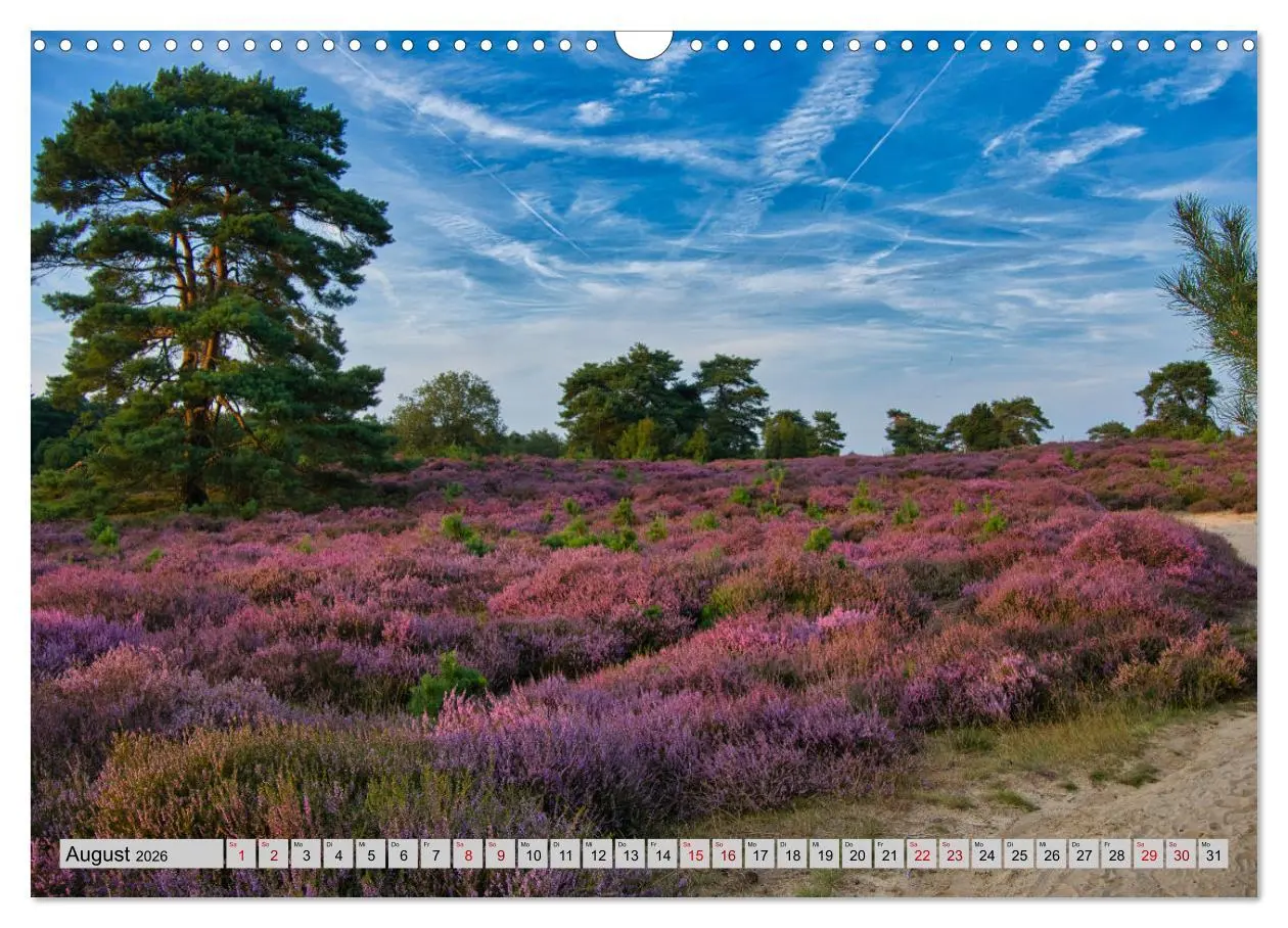 Bild: 9783457866221 | Streifzüge durch den Norden der Niederlande (Wandkalender 2026 DIN...