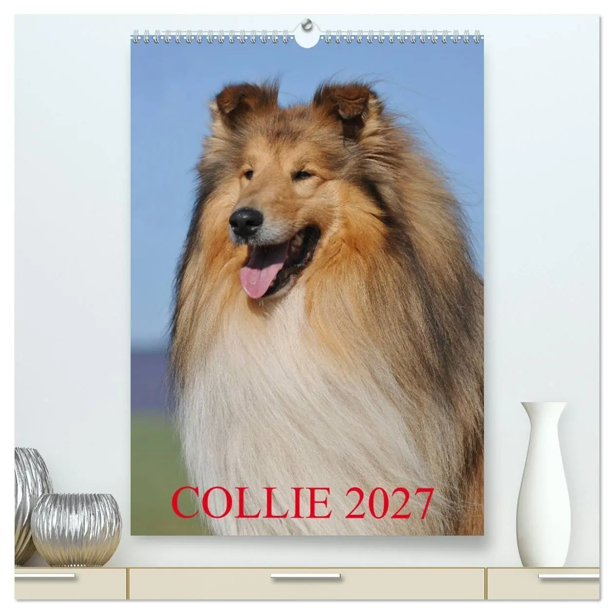 Cover: 9783594176221 | Collie 2027 (hochwertiger Premium Wandkalender 2027 DIN A2 hoch),...