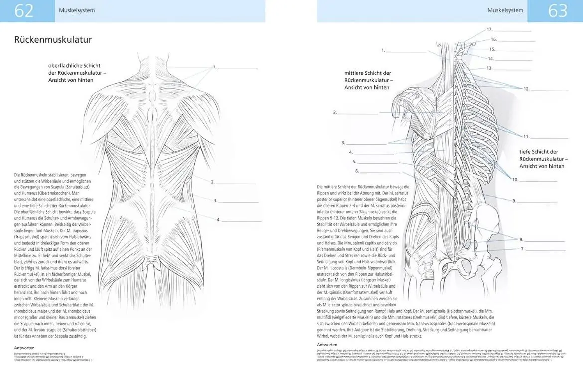 Bild: 9789089986221 | Das Lehrbuch der Anatomie | Kolorieren Beschriften Bestimmen | Buch