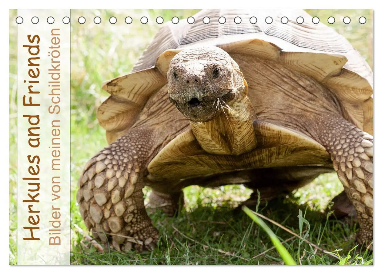 Cover: 9783457786321 | Herkules and Friends (Tischkalender 2026 DIN A5 quer), CALVENDO...