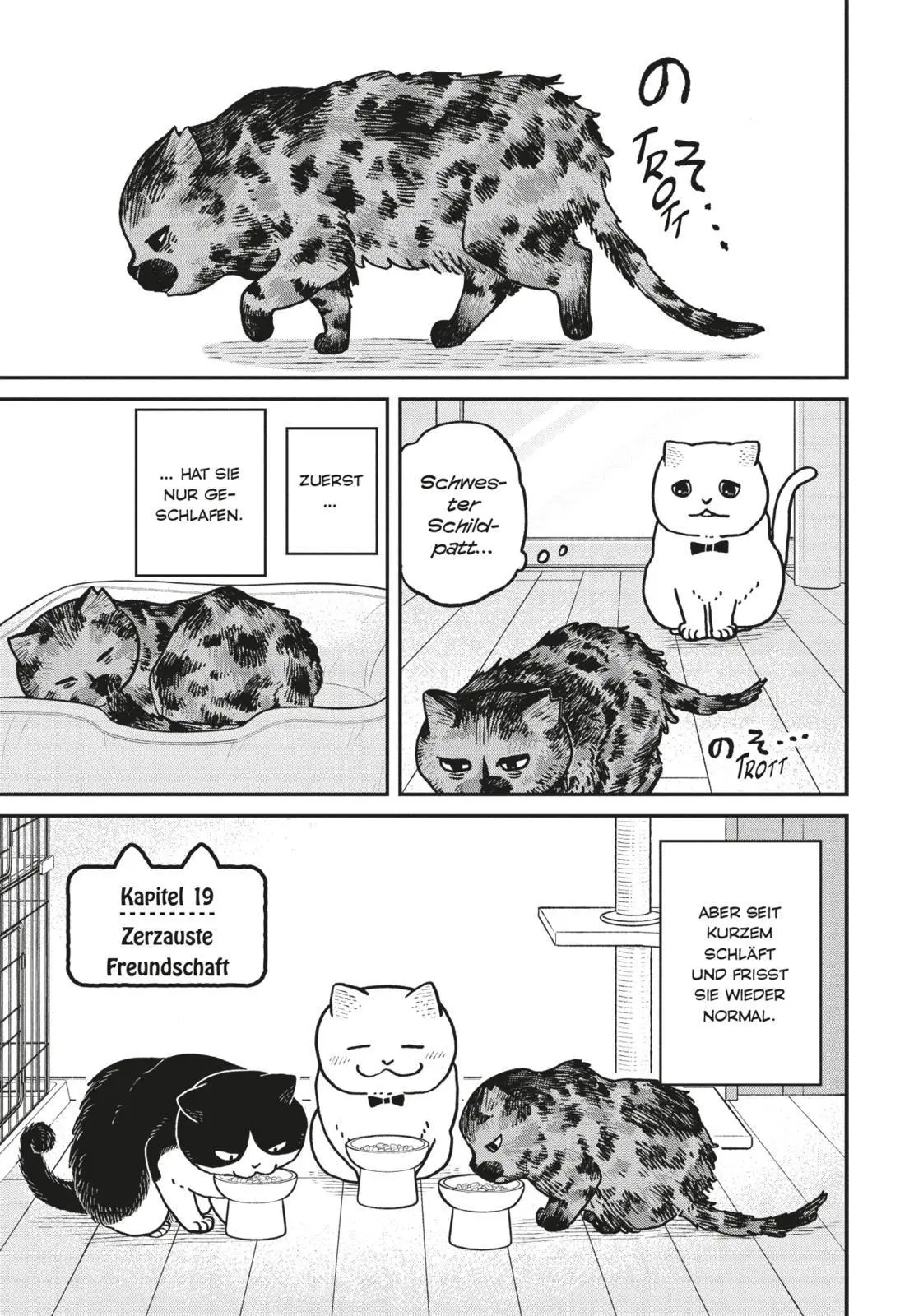 Bild: 9783551806321 | Hachi &amp; Maruru - Streuner halten zusammen! 3 | Yuri Sonoda | Buch