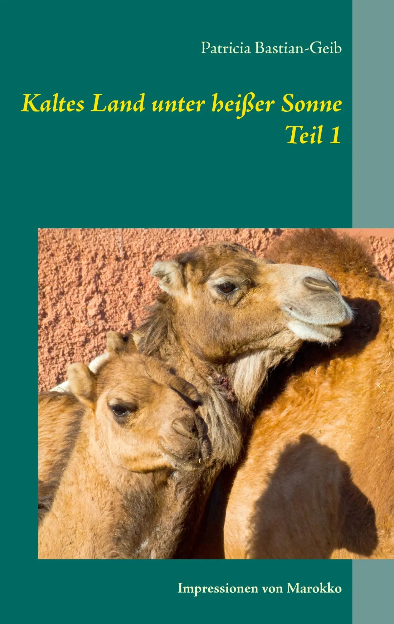 Cover: 9783734746321 | Kaltes Land unter heißer Sonne (Teil 1) | Impressionen von Marokko