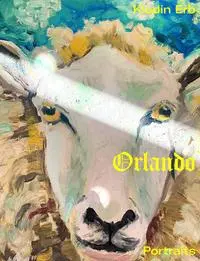 Cover: 9783907236321 | Orlando | Klodin Erb | Buch | 272 S. | Deutsch | 2022