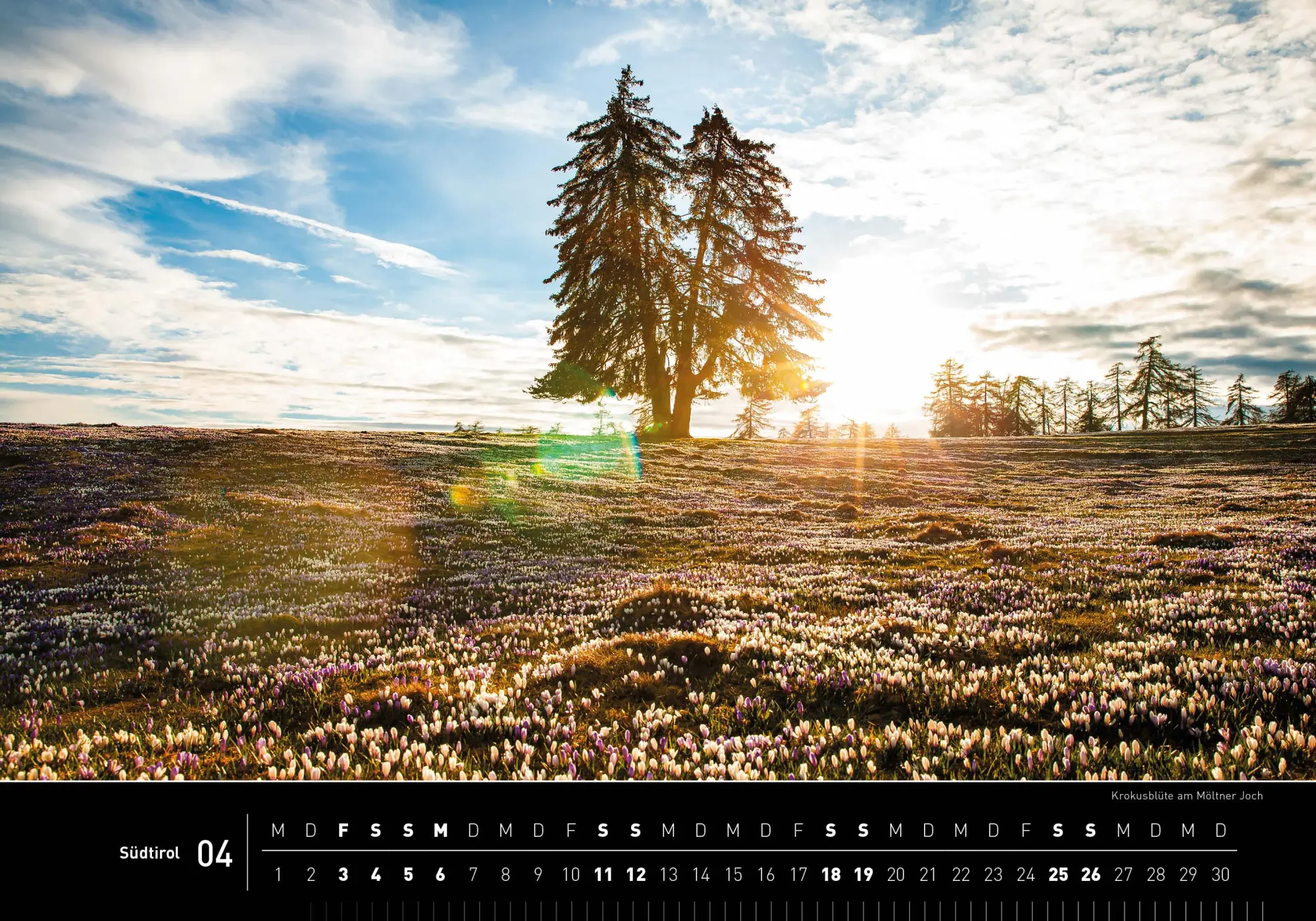 Bild: 9783968556321 | Südtirol Premiumkalender 2026 | Judith Niederwanger | Kalender | 14 S.