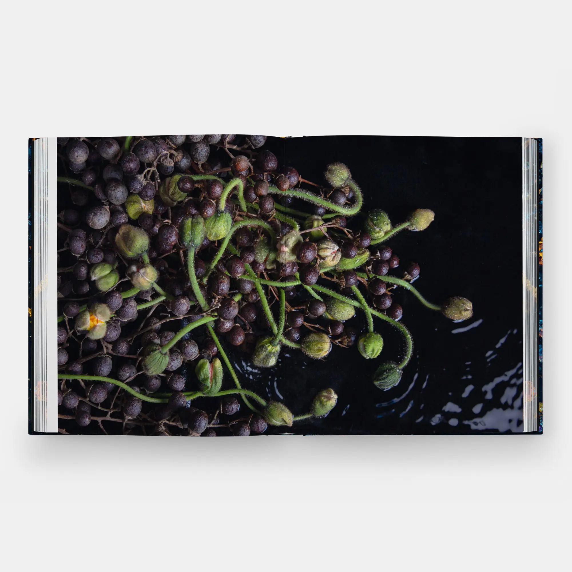 Bild: 9781580936521 | Emily Thompson Flowers | Emily Thompson | Buch | 248 S. | Englisch