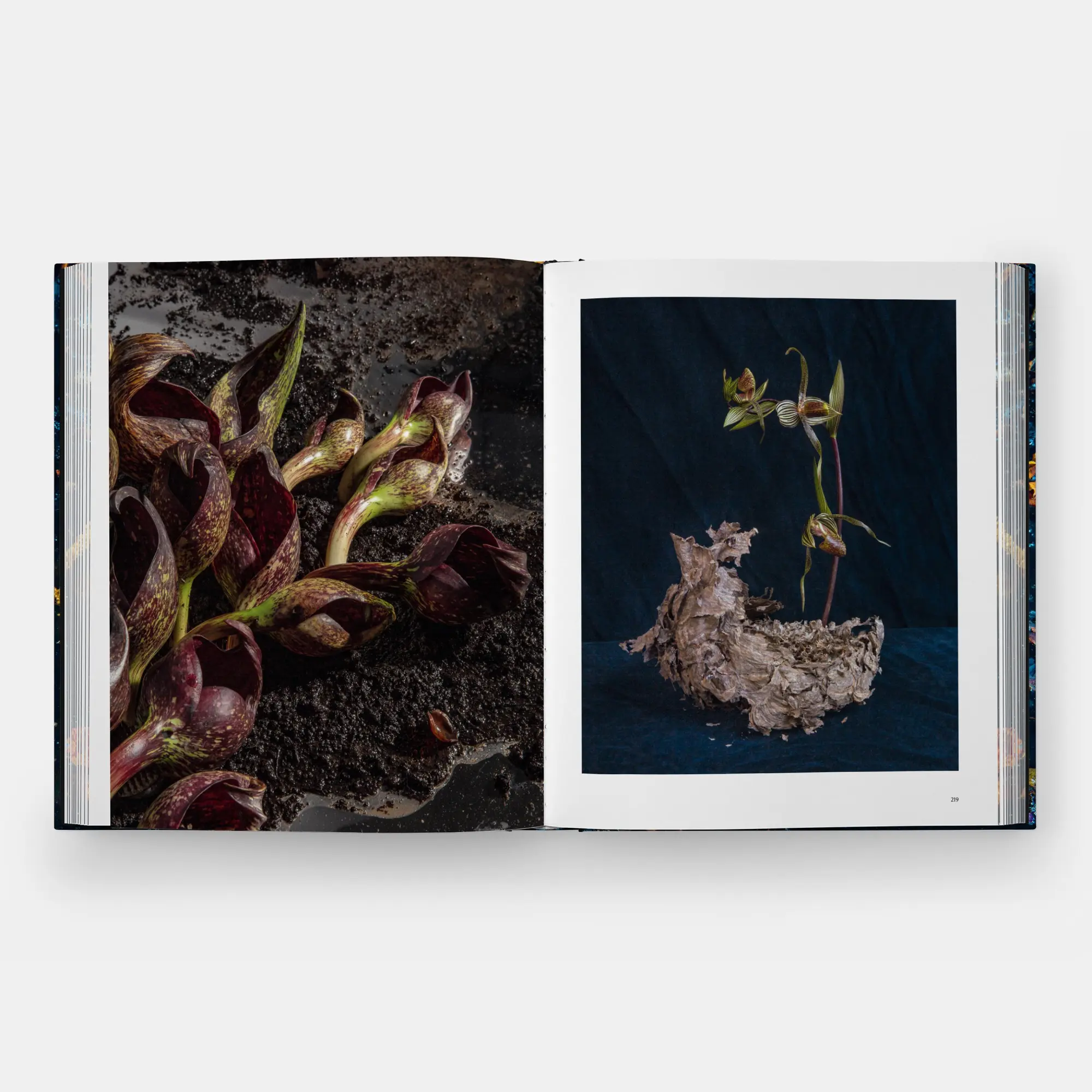 Bild: 9781580936521 | Emily Thompson Flowers | Emily Thompson | Buch | 248 S. | Englisch