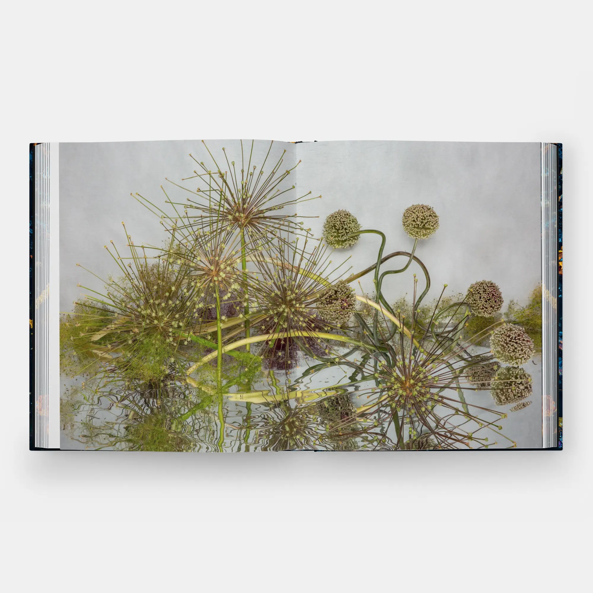 Bild: 9781580936521 | Emily Thompson Flowers | Emily Thompson | Buch | 248 S. | Englisch