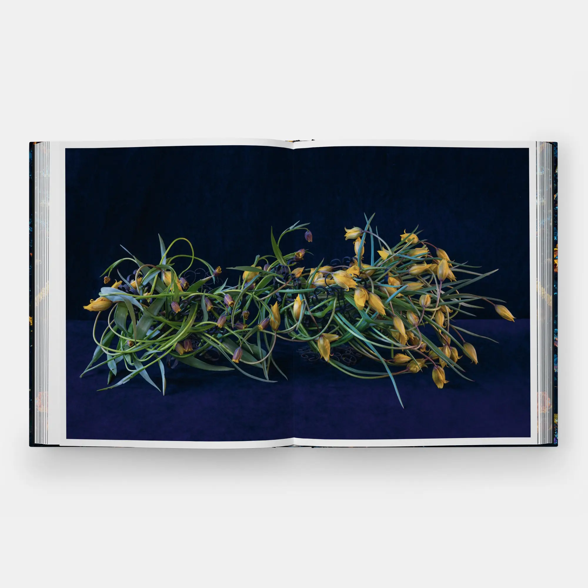 Bild: 9781580936521 | Emily Thompson Flowers | Emily Thompson | Buch | 248 S. | Englisch