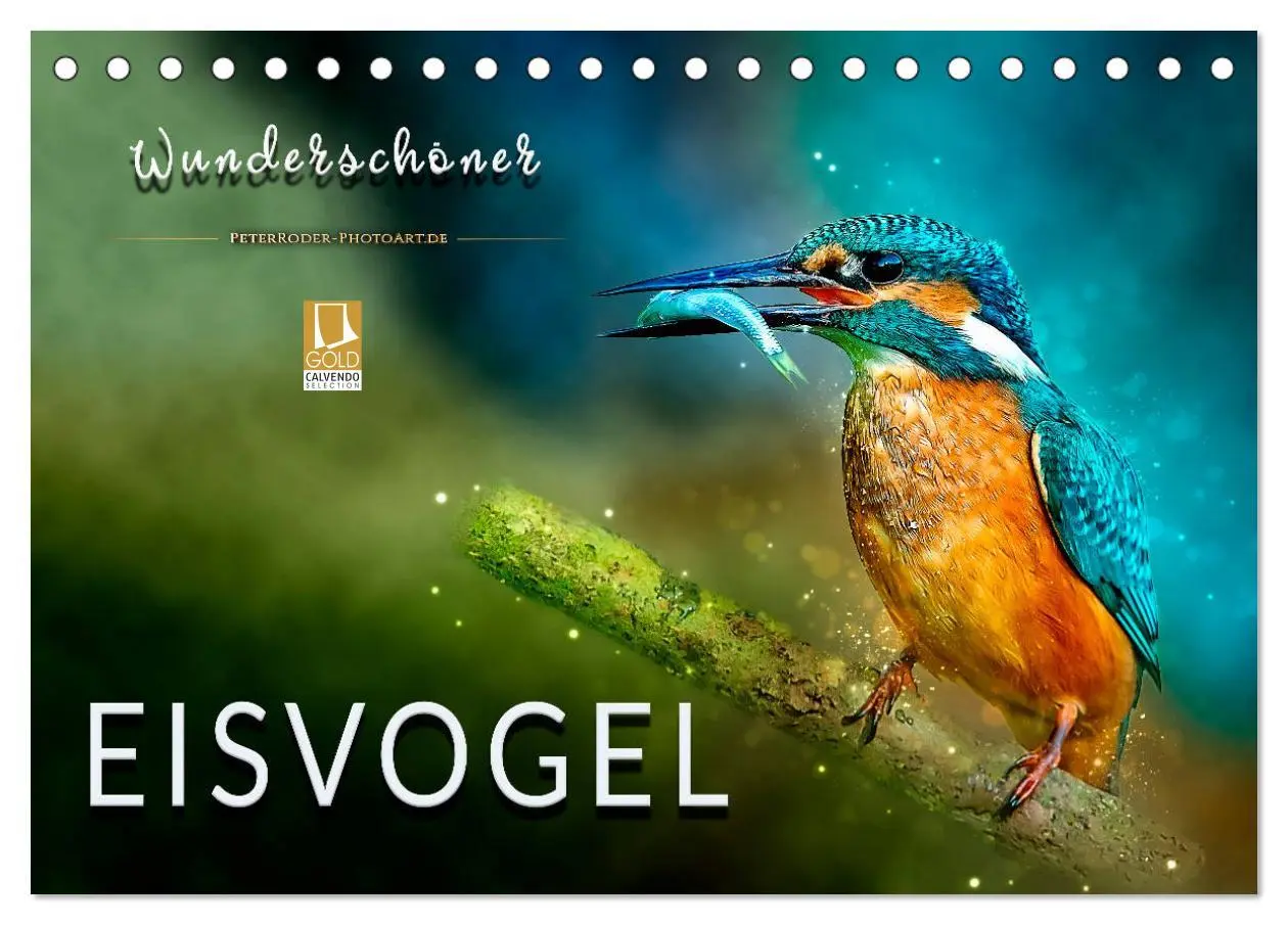 Cover: 9783457836521 | Wunderschöner Eisvogel (Tischkalender 2026 DIN A5 quer), CALVENDO...