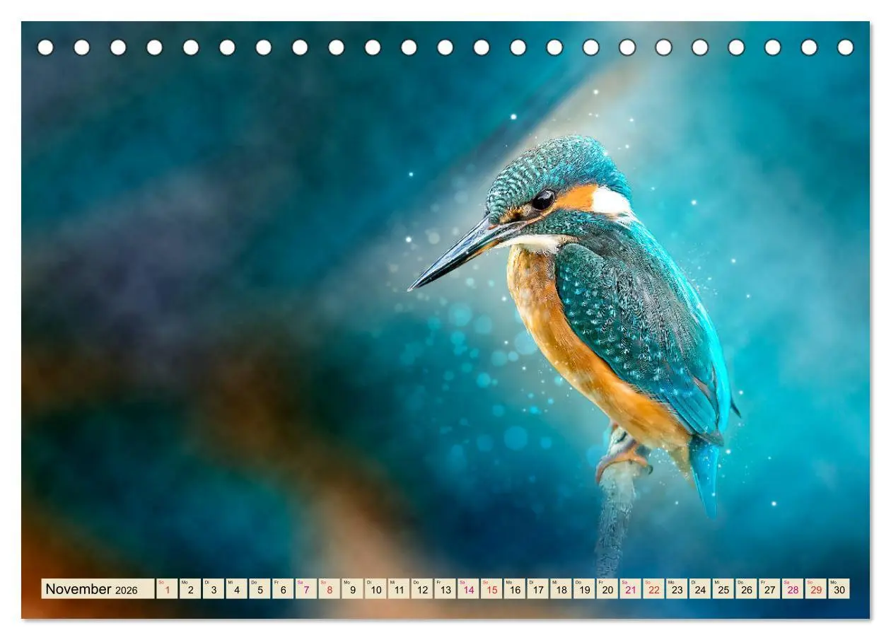 Bild: 9783457836521 | Wunderschöner Eisvogel (Tischkalender 2026 DIN A5 quer), CALVENDO...