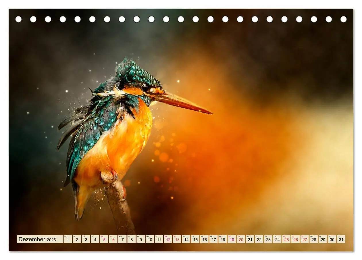 Bild: 9783457836521 | Wunderschöner Eisvogel (Tischkalender 2026 DIN A5 quer), CALVENDO...