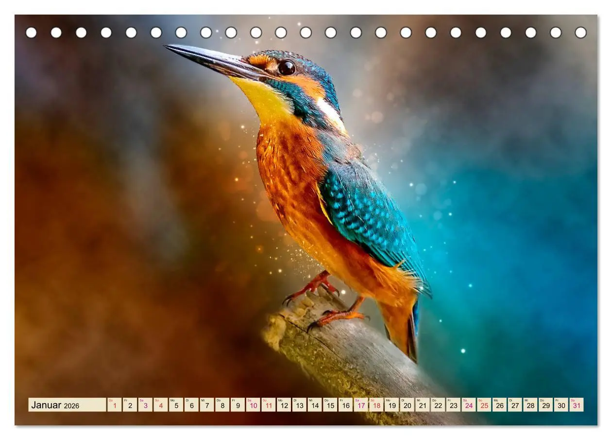Bild: 9783457836521 | Wunderschöner Eisvogel (Tischkalender 2026 DIN A5 quer), CALVENDO...