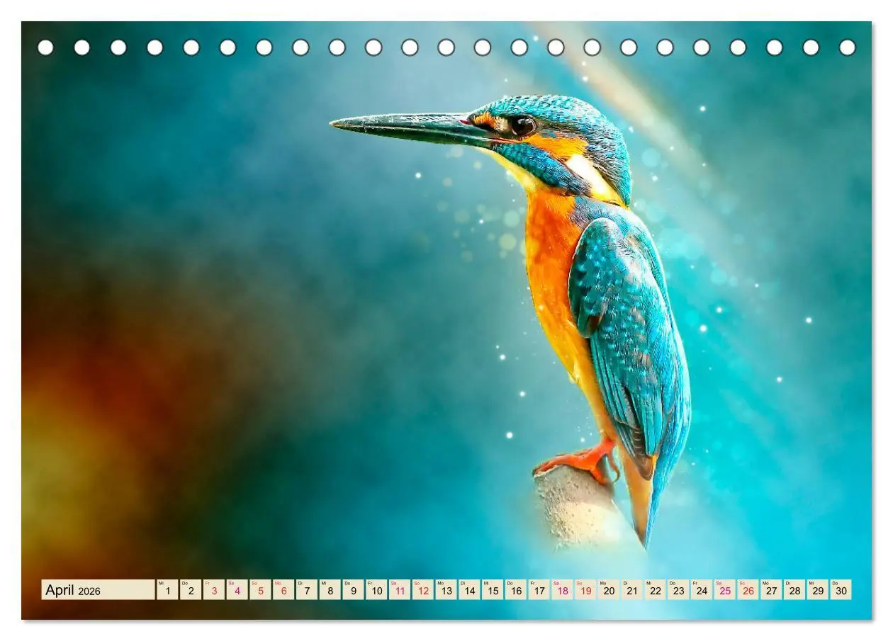 Bild: 9783457836521 | Wunderschöner Eisvogel (Tischkalender 2026 DIN A5 quer), CALVENDO...