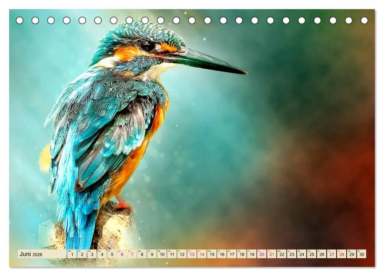 Bild: 9783457836521 | Wunderschöner Eisvogel (Tischkalender 2026 DIN A5 quer), CALVENDO...
