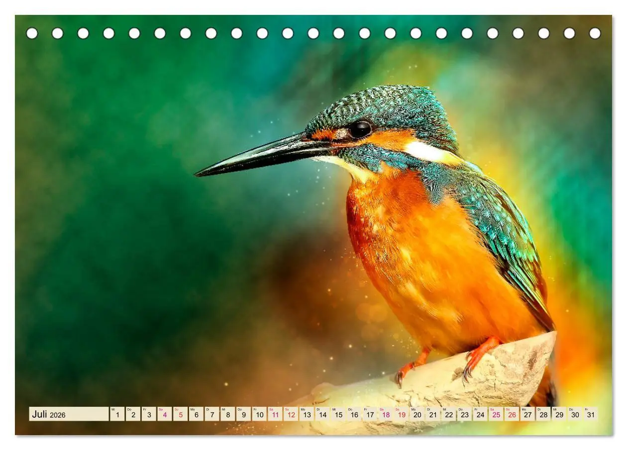 Bild: 9783457836521 | Wunderschöner Eisvogel (Tischkalender 2026 DIN A5 quer), CALVENDO...