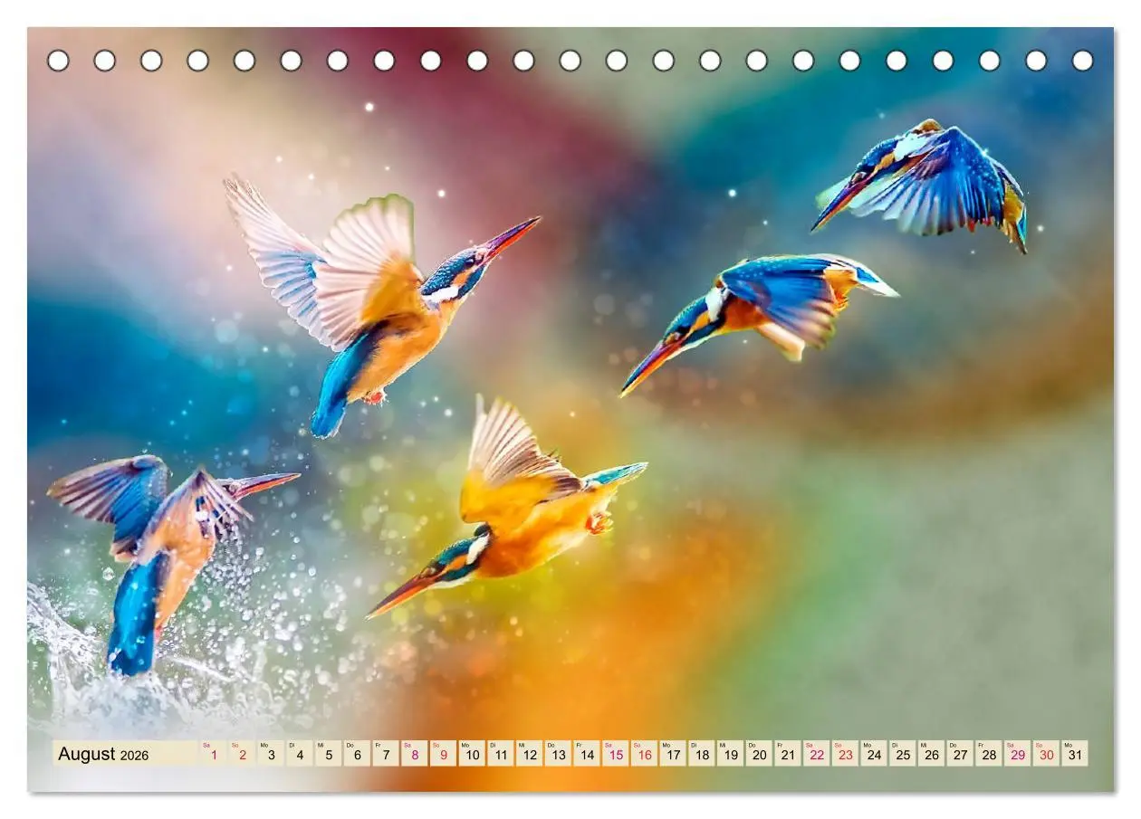Bild: 9783457836521 | Wunderschöner Eisvogel (Tischkalender 2026 DIN A5 quer), CALVENDO...