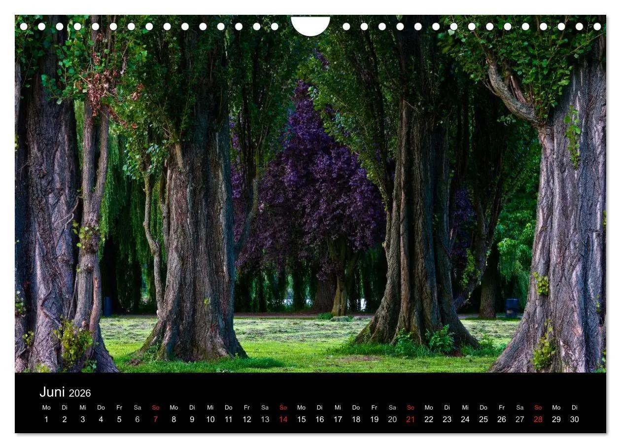 Bild: 9783516096521 | Charmantes Hamburg (Wandkalender 2026 DIN A4 quer), CALVENDO...