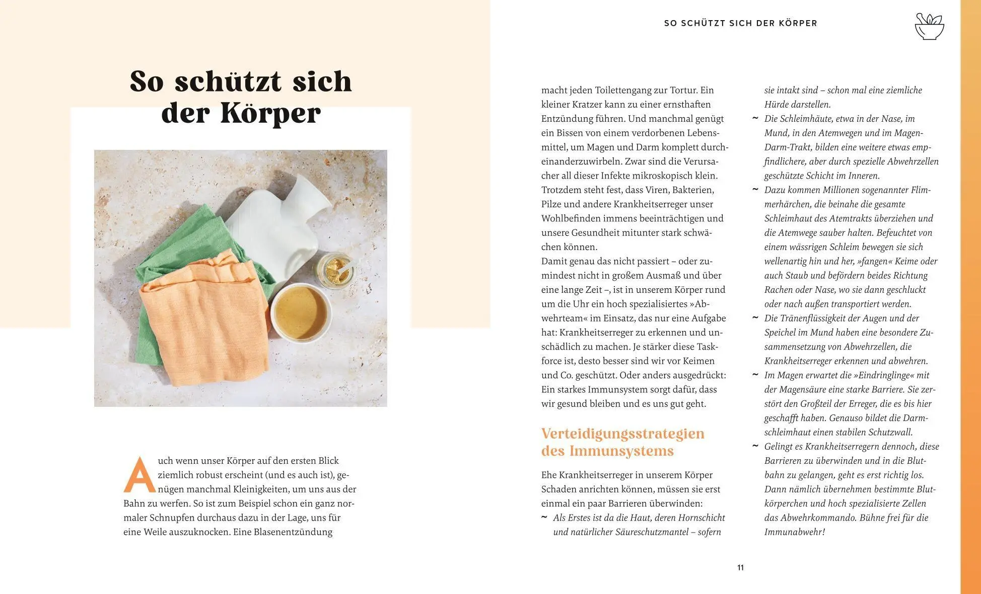 Bild: 9783833896521 | Meine Gesundheitsretter aus der Natur für ein starkes Immunsystem