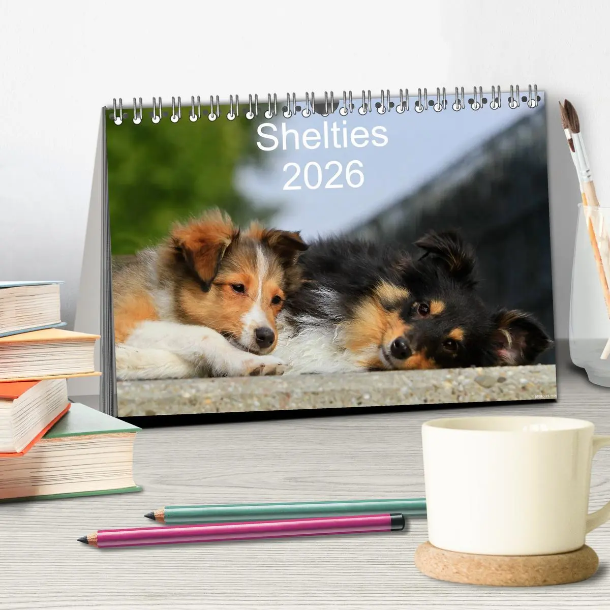 Bild: 9783516156621 | Shelties 2026 (Tischkalender 2026 DIN A5 quer), CALVENDO...