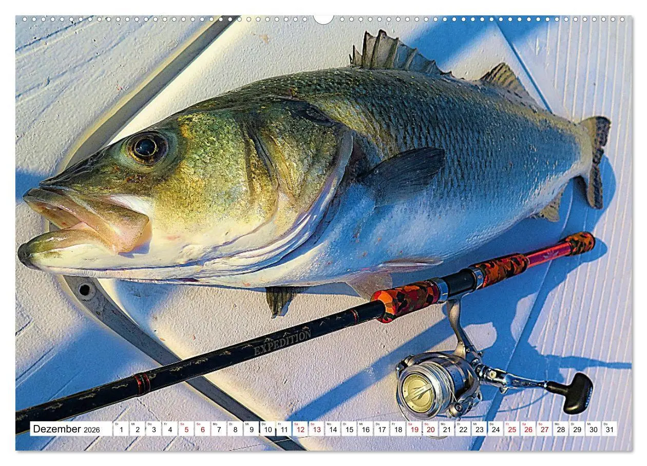 Bild: 9783457436721 | Anglerglück - den Fisch am Haken (Wandkalender 2026 DIN A2 quer),...