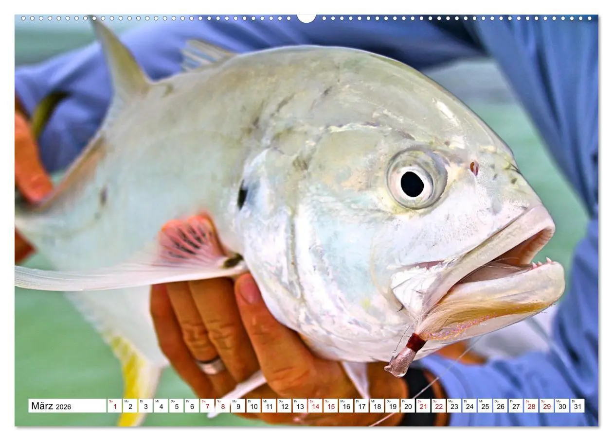 Bild: 9783457436721 | Anglerglück - den Fisch am Haken (Wandkalender 2026 DIN A2 quer),...