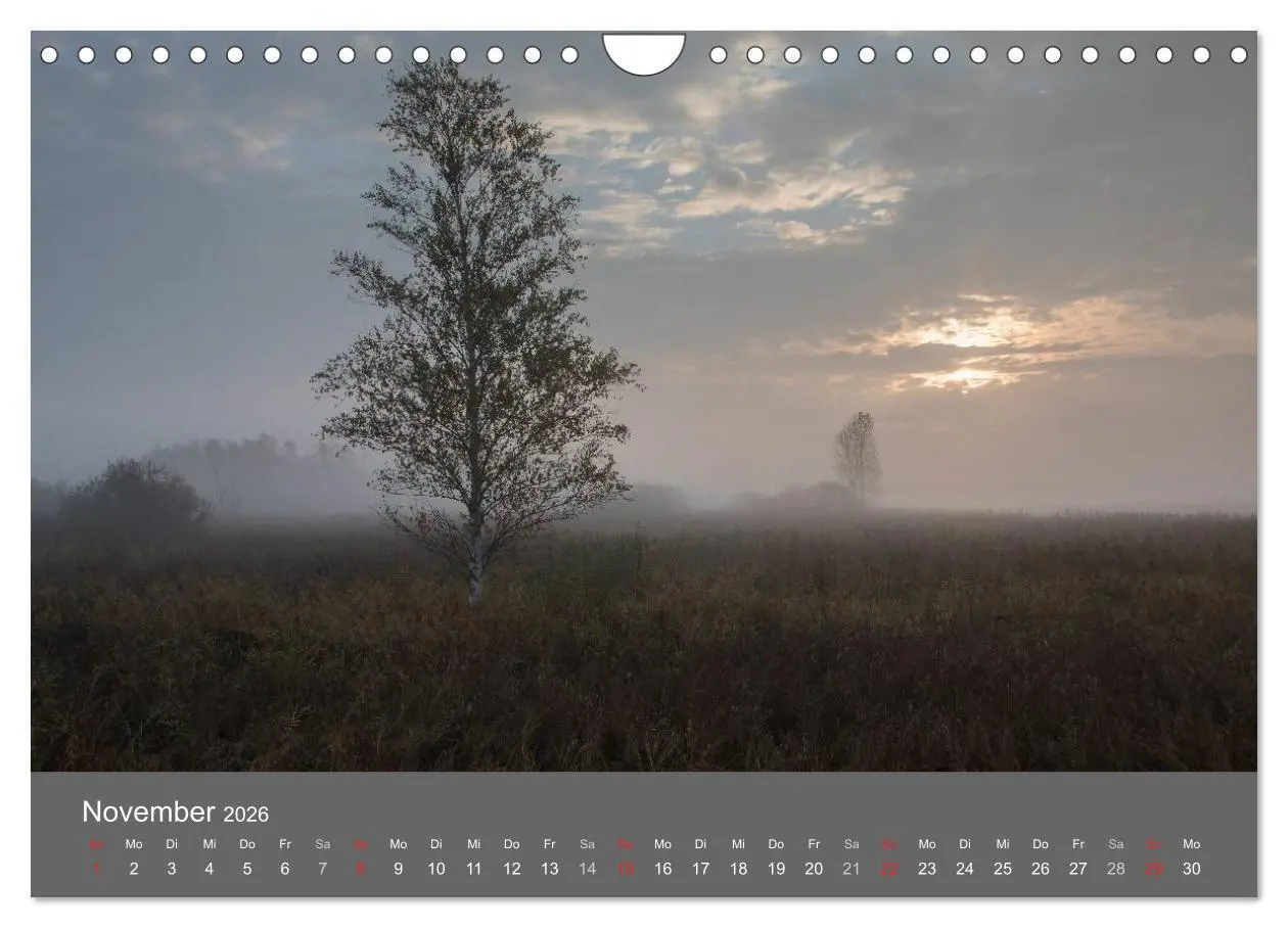 Bild: 9783457986721 | Der Federsee - Vogelparadies in Oberschwaben (Wandkalender 2026 DIN...