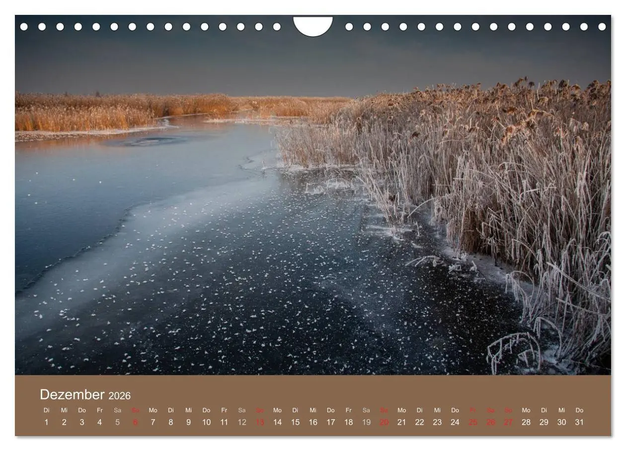 Bild: 9783457986721 | Der Federsee - Vogelparadies in Oberschwaben (Wandkalender 2026 DIN...