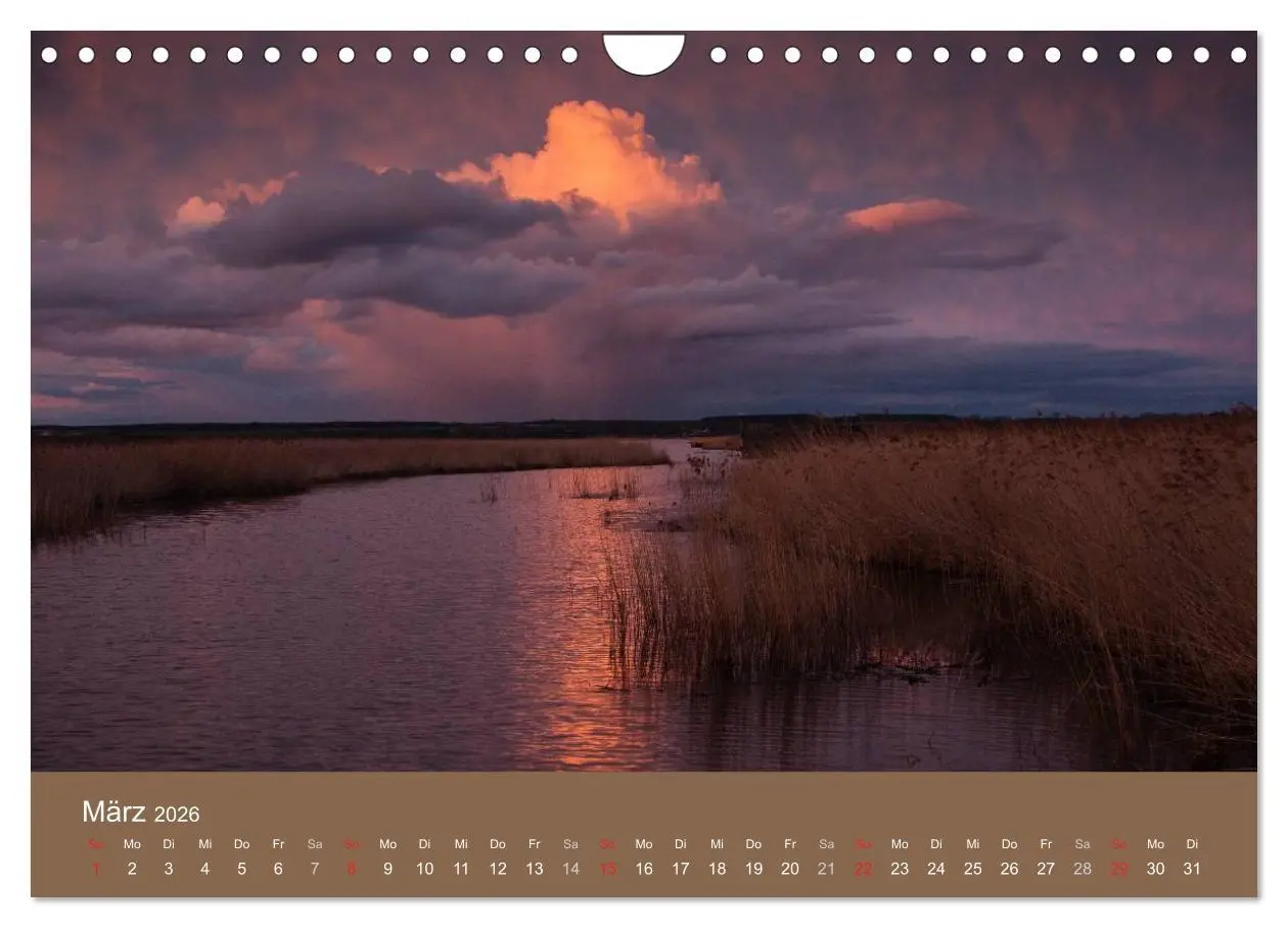 Bild: 9783457986721 | Der Federsee - Vogelparadies in Oberschwaben (Wandkalender 2026 DIN...
