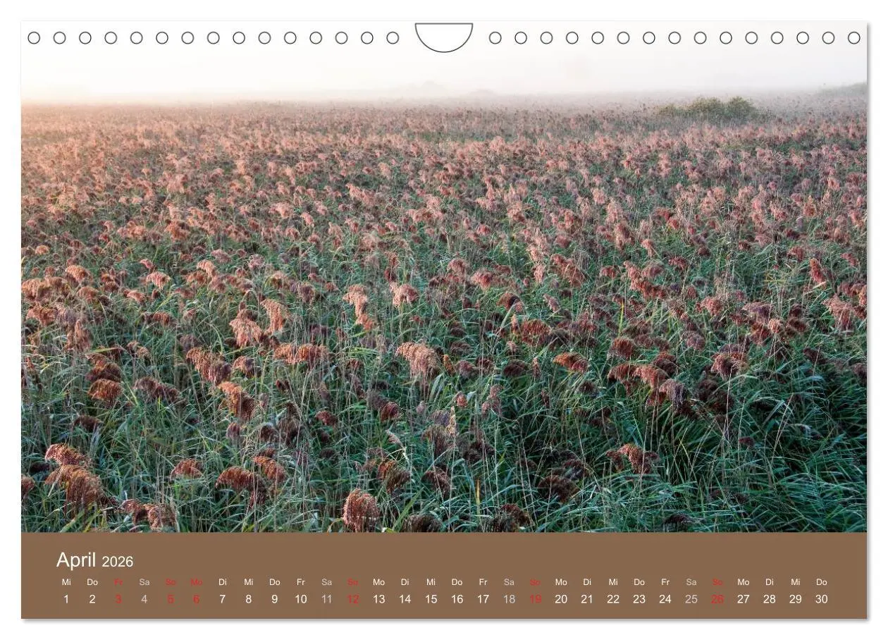 Bild: 9783457986721 | Der Federsee - Vogelparadies in Oberschwaben (Wandkalender 2026 DIN...