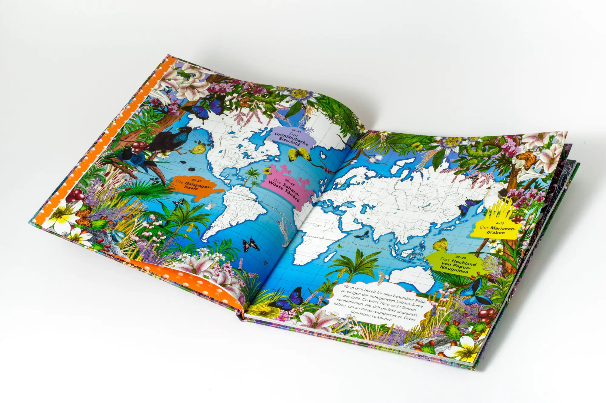 Bild: 9783791376721 | Die unglaubliche Safari | Lucy Brownridge (u. a.) | Buch | 48 S.