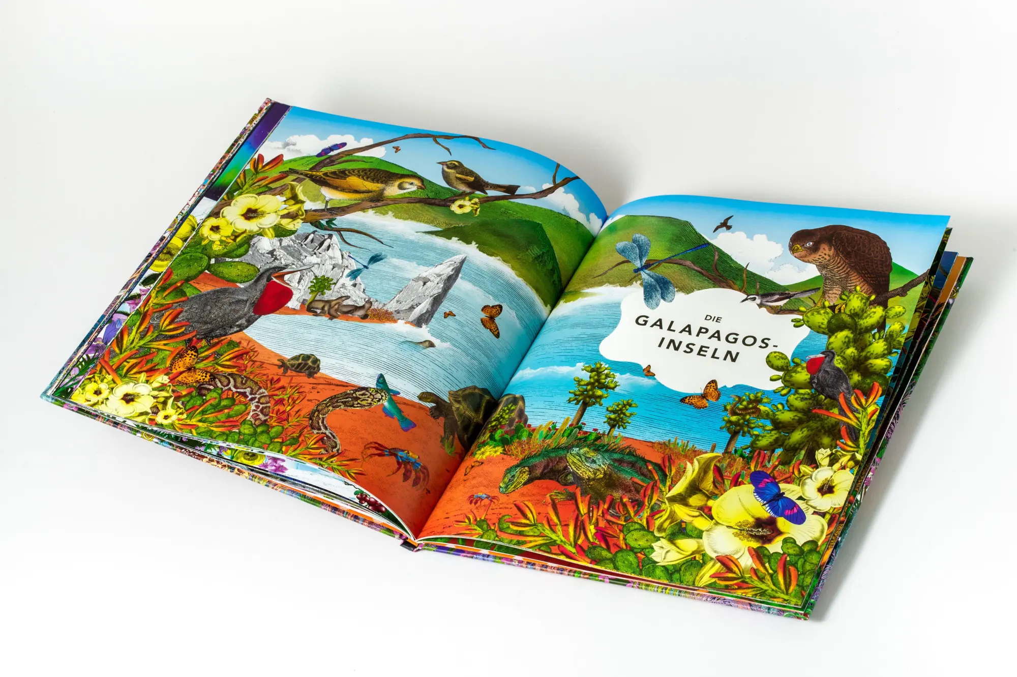 Bild: 9783791376721 | Die unglaubliche Safari | Lucy Brownridge (u. a.) | Buch | 48 S.