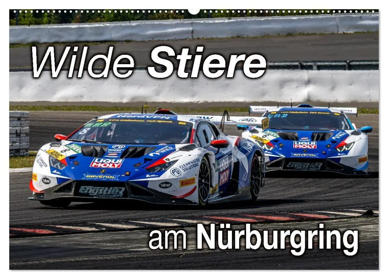 Cover: 9783516686821 | Wilde Stiere am Nürburgring (Wandkalender 2026 DIN A2 quer),...