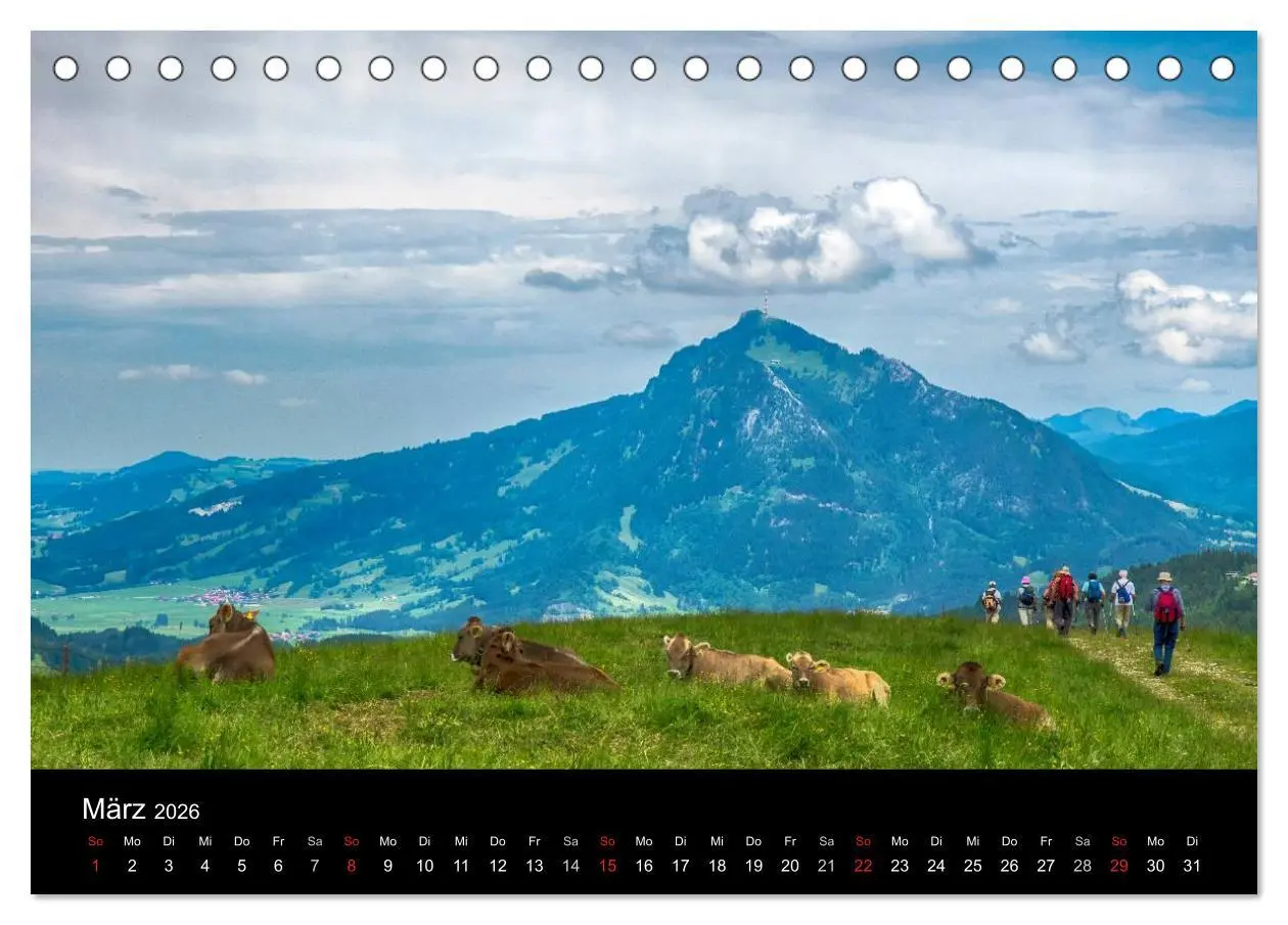 Bild: 9783516017021 | Allgäuer Impressionen (Tischkalender 2026 DIN A5 quer), CALVENDO...