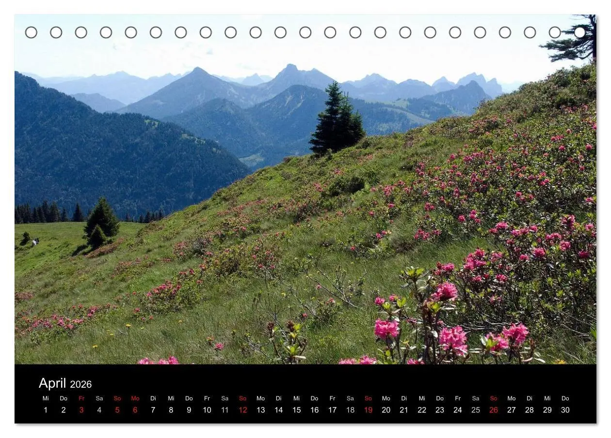 Bild: 9783516017021 | Allgäuer Impressionen (Tischkalender 2026 DIN A5 quer), CALVENDO...