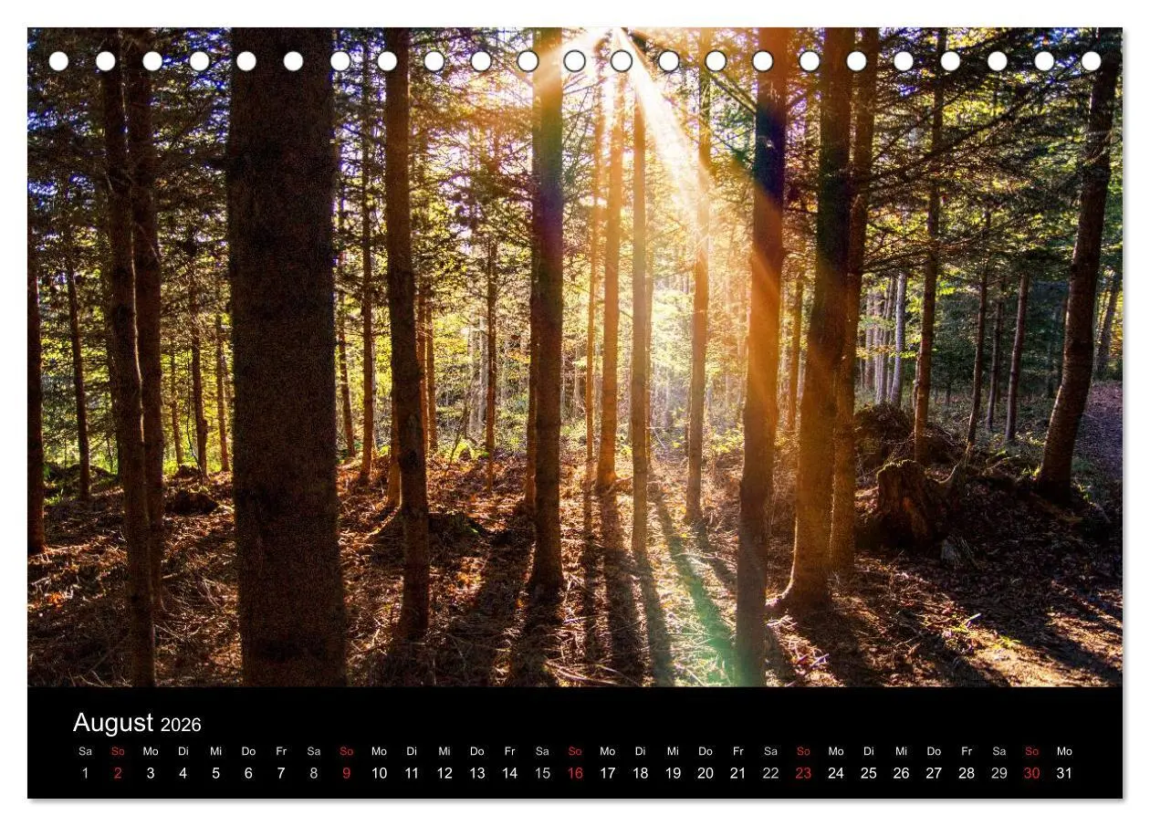 Bild: 9783516017021 | Allgäuer Impressionen (Tischkalender 2026 DIN A5 quer), CALVENDO...