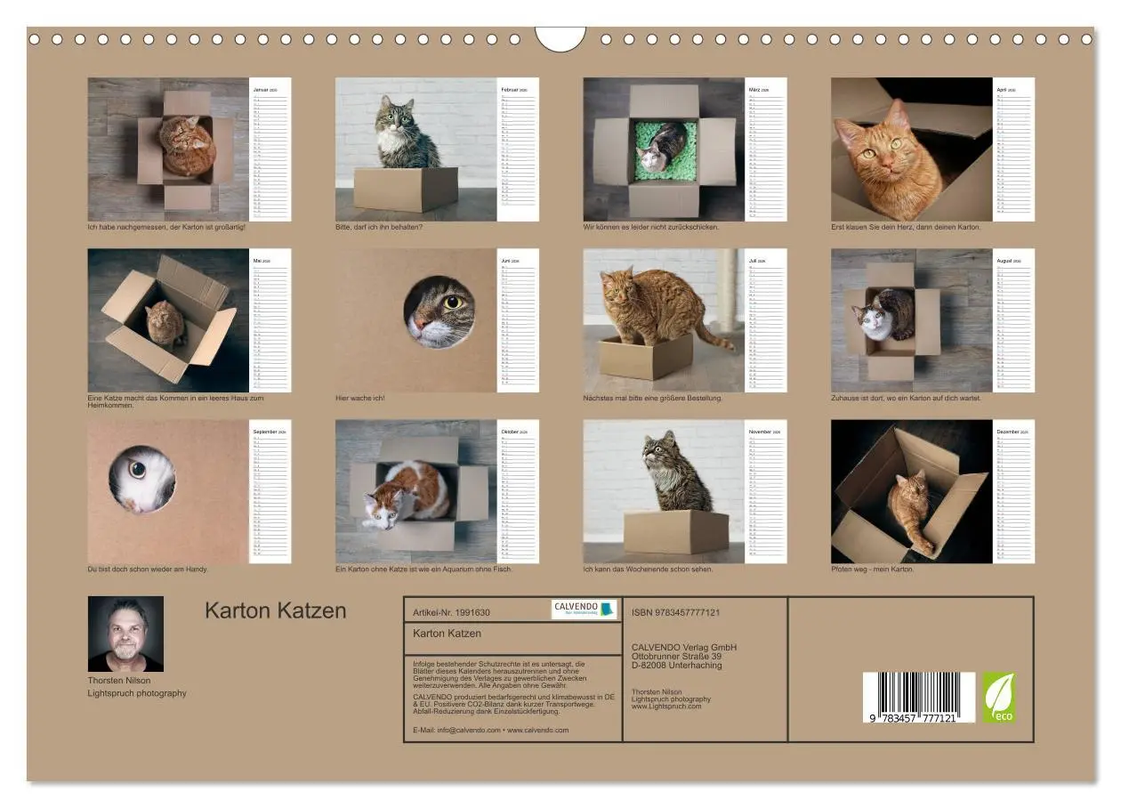 Bild: 9783457777121 | Karton Katzen (Wandkalender 2026 DIN A3 quer), CALVENDO Monatskalender