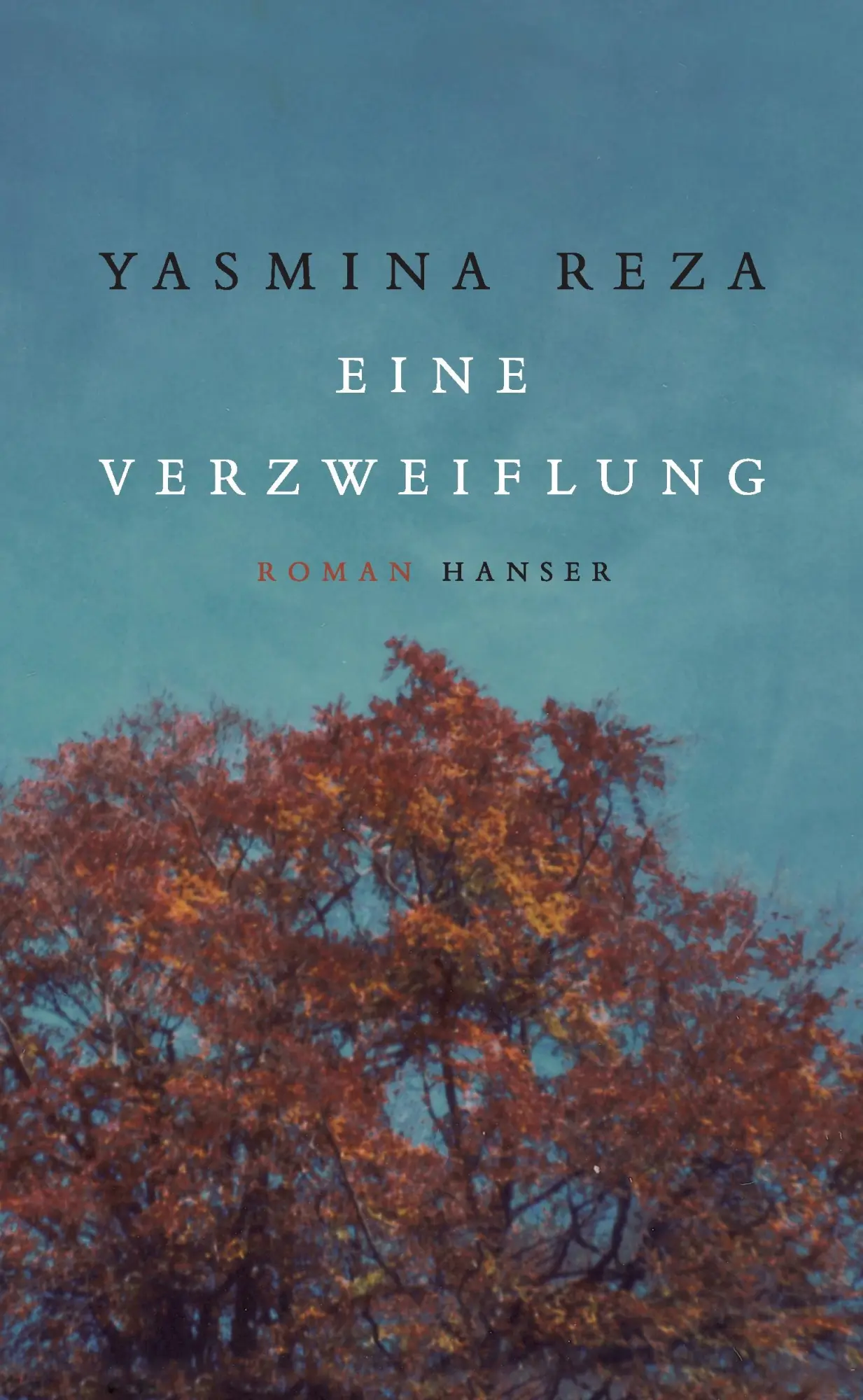 Cover: 9783446257221 | Eine Verzweiflung | Roman | Yasmina Reza | Buch | 134 S. | Deutsch