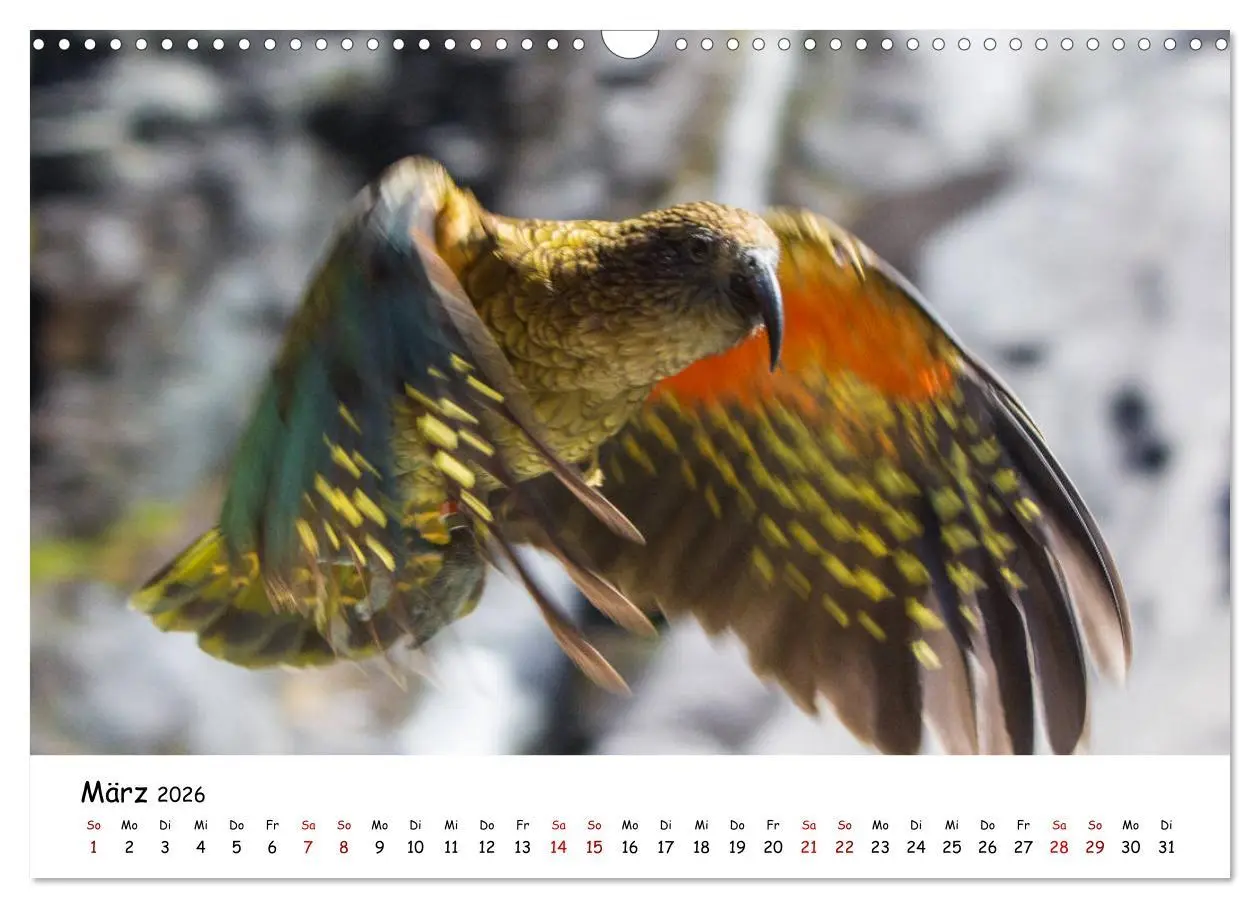 Bild: 9783457907221 | Neuseeland-Aotearoa, Land der weißen Wolke (Wandkalender 2026 DIN...