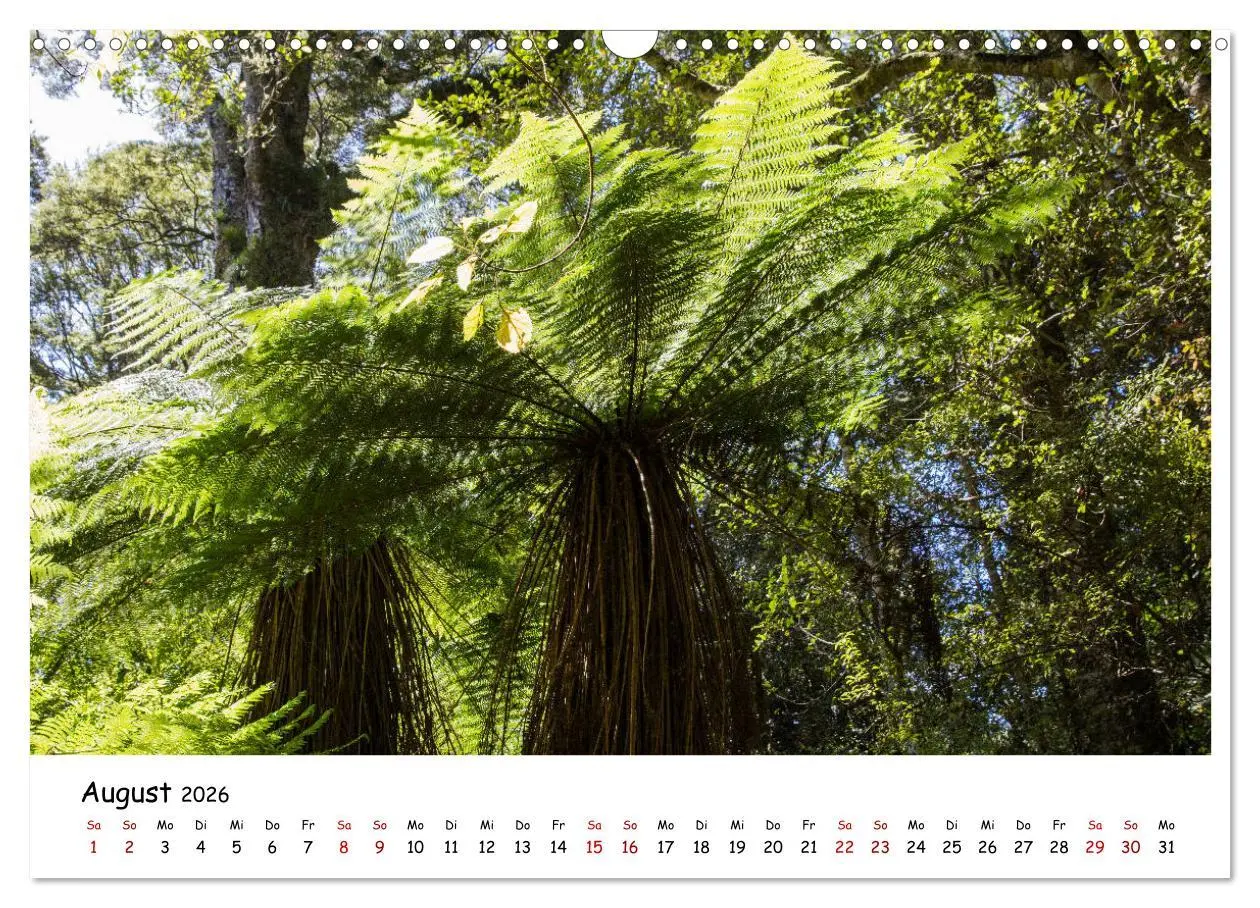 Bild: 9783457907221 | Neuseeland-Aotearoa, Land der weißen Wolke (Wandkalender 2026 DIN...