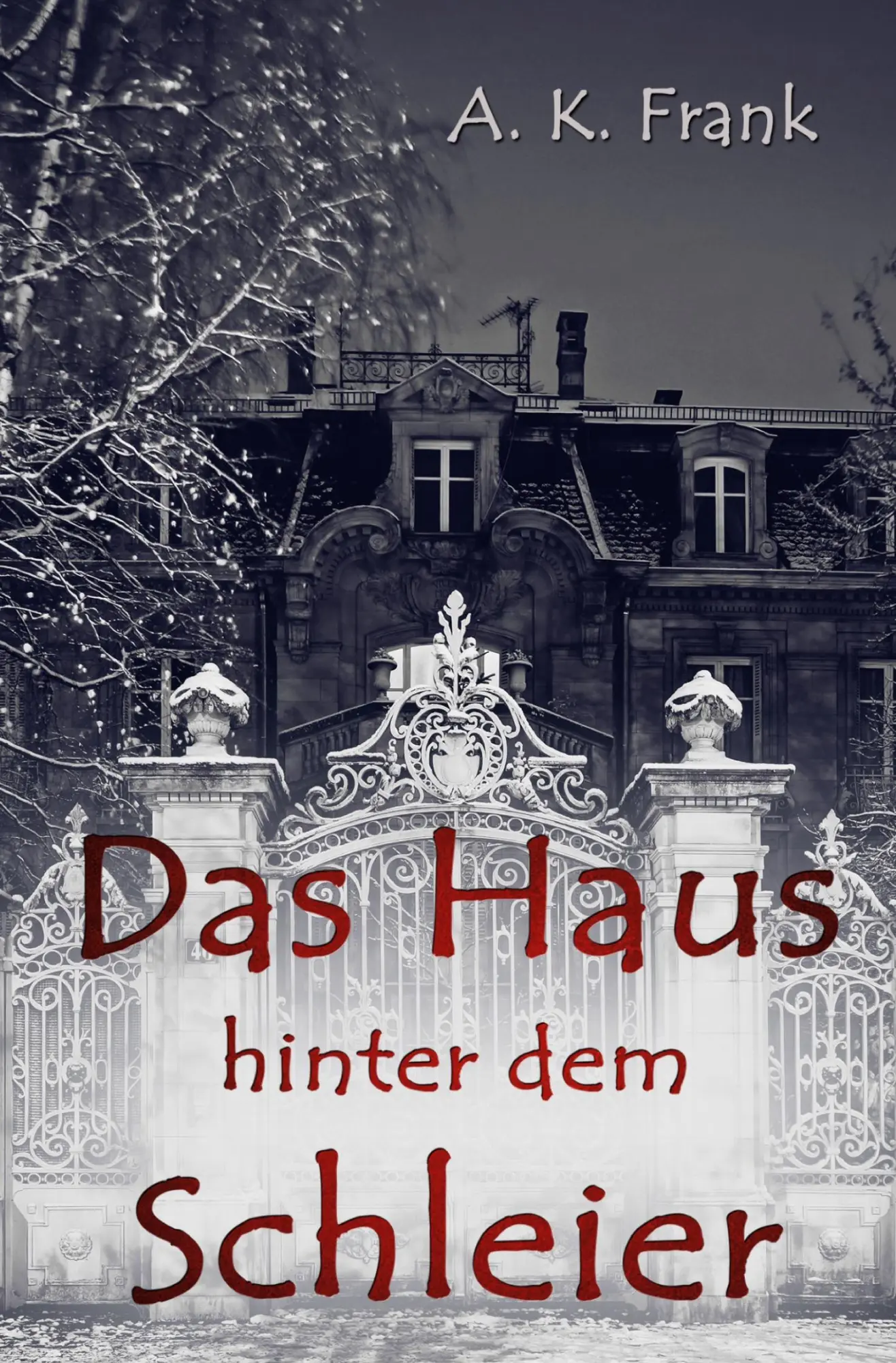 Cover: 9783819417221 | Das Haus hinter dem Schleier | A. K. Frank | Taschenbuch | 256 S.