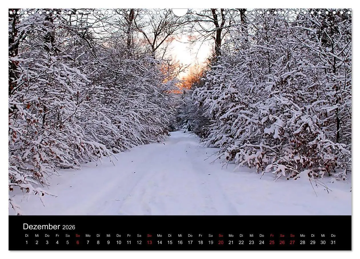Bild: 9783516087321 | Meine Heimat Westerwald (Wandkalender 2026 DIN A3 quer), CALVENDO...