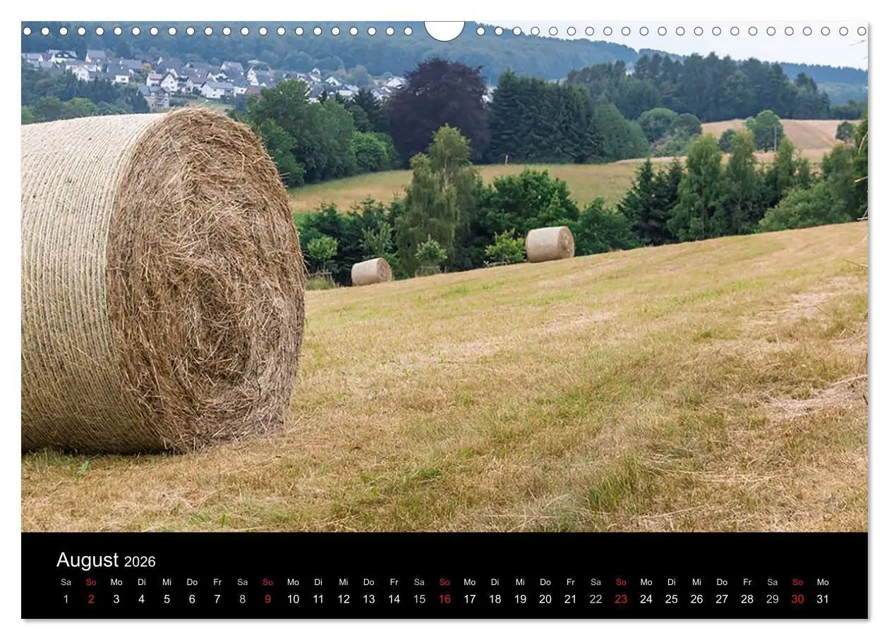 Bild: 9783516087321 | Meine Heimat Westerwald (Wandkalender 2026 DIN A3 quer), CALVENDO...