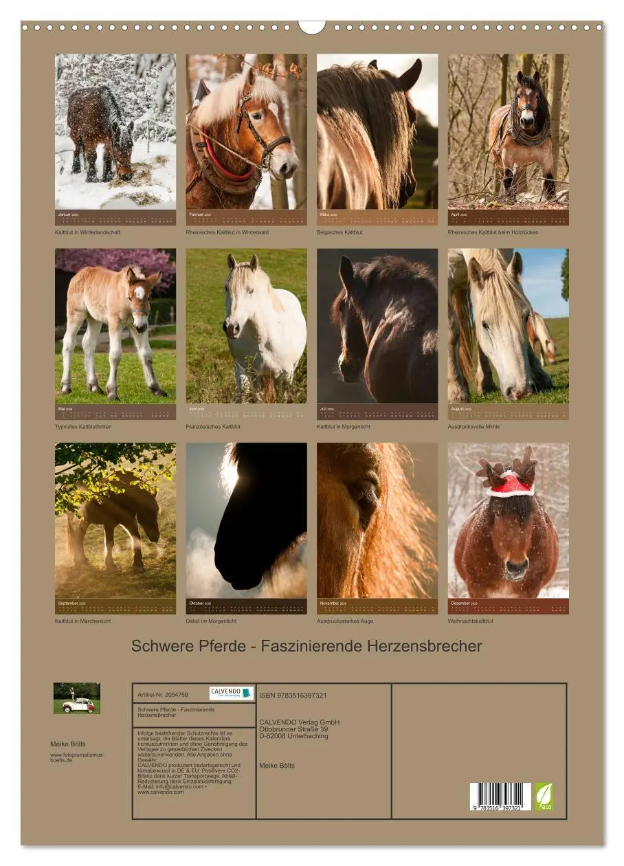 Bild: 9783516397321 | Schwere Pferde - Faszinierende Herzensbrecher (Wandkalender 2026...